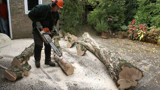 Baars bomen rooien